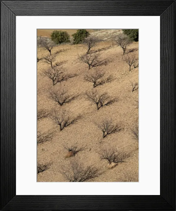 Framed Print : Picture No. 10892138 Framed Print : Picture No. 10892138