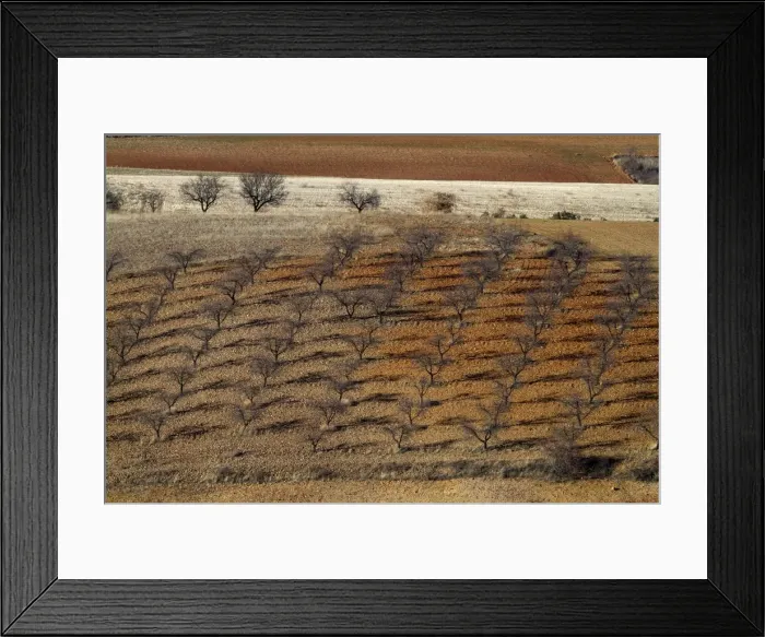 Framed Print : Picture No. 10892137 Framed Print : Picture No. 10892137