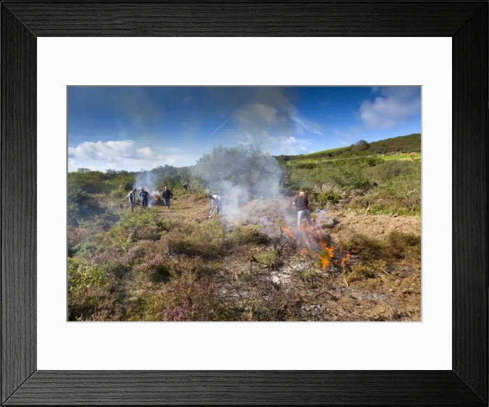 Framed Print : Picture No. 10892164 Framed Print : Picture No. 10892164