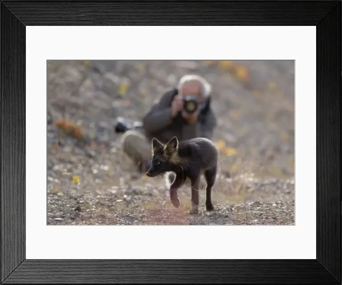 Framed Print : Picture No. 10892175 Framed Print : Picture No. 10892175