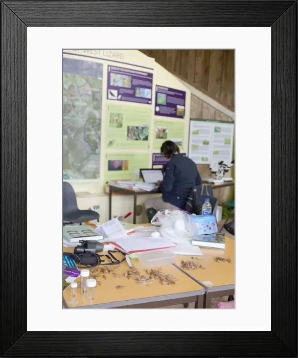 Framed Print : Picture No. 10892165 Framed Print : Picture No. 10892165