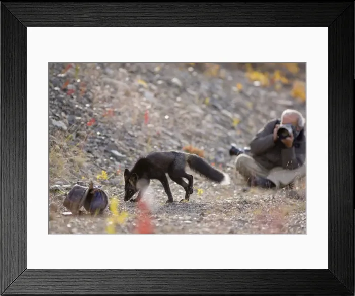 Framed Print : Picture No. 10892176 Framed Print : Picture No. 10892176