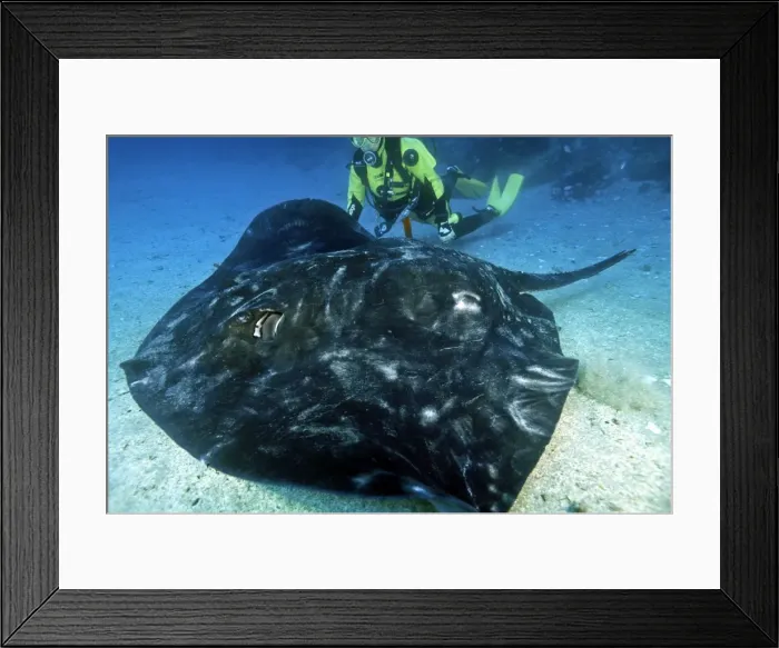 Framed Print : Picture No. 10892223 Framed Print : Picture No. 10892223