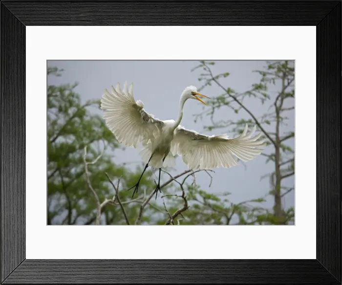 Framed Print : Picture No. 10892251 Framed Print : Picture No. 10892251