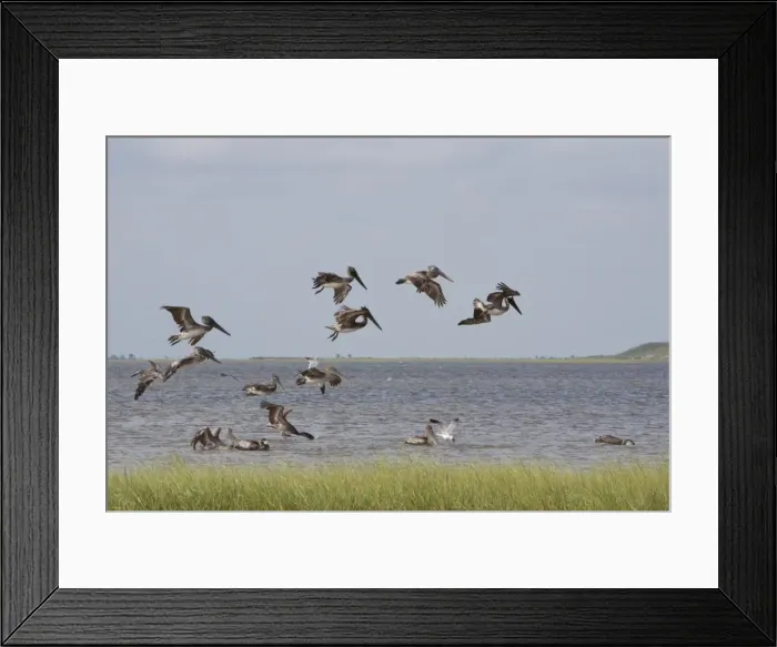 Framed Print : Picture No. 10892311 Framed Print : Picture No. 10892311