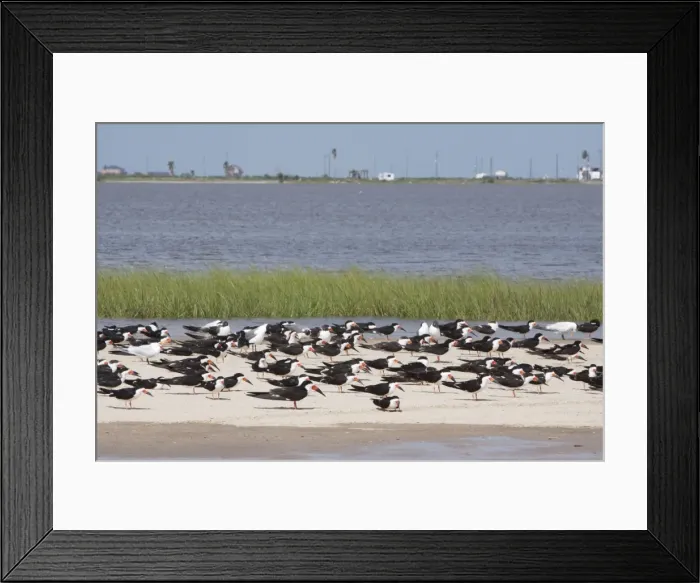 Framed Print : Picture No. 10892360