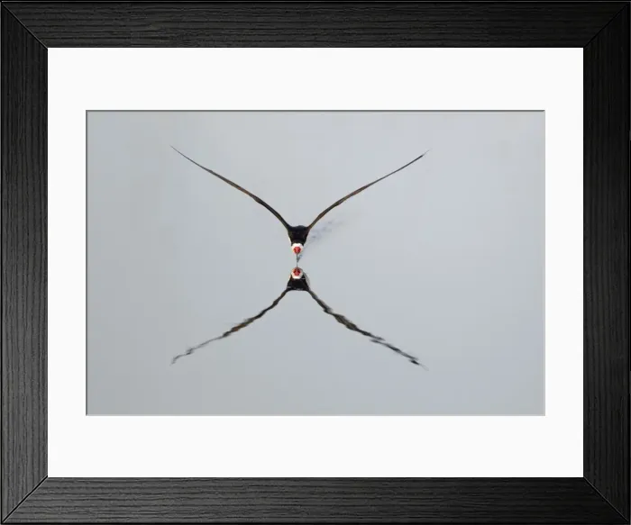 Framed Print : Picture No. 10892356
