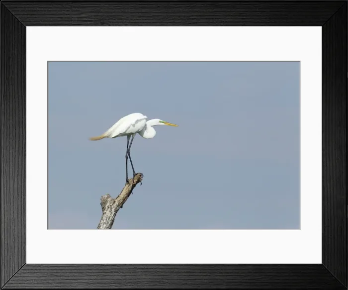 Framed Print : Picture No. 10892407 Framed Print : Picture No. 10892407