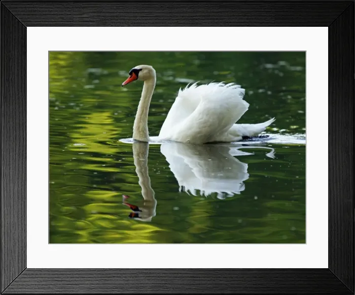 Framed Print : Picture No. 10891678 Framed Print : Picture No. 10891678