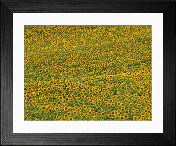 Framed Print : Picture No. 10891689 Framed Print : Picture No. 10891689