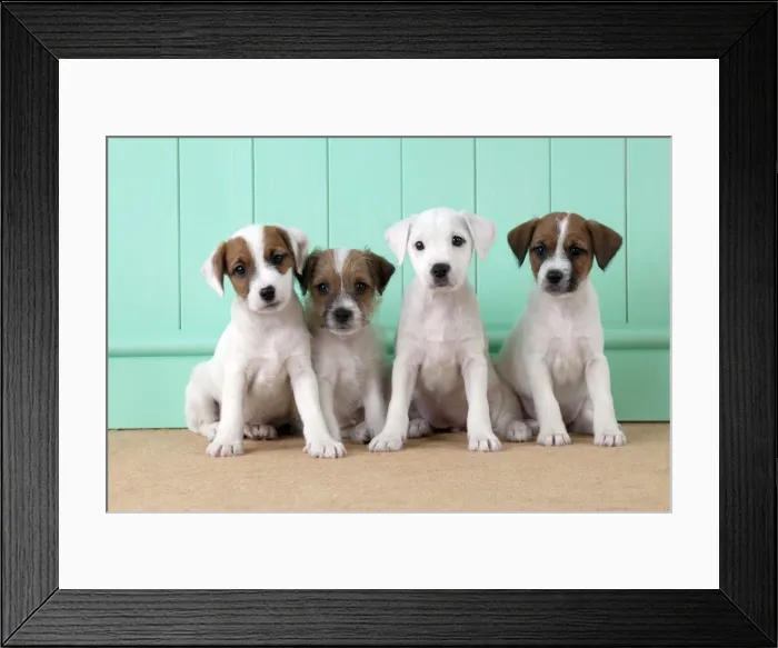 Framed Print : Picture No. 10892570 Framed Print : Picture No. 10892570