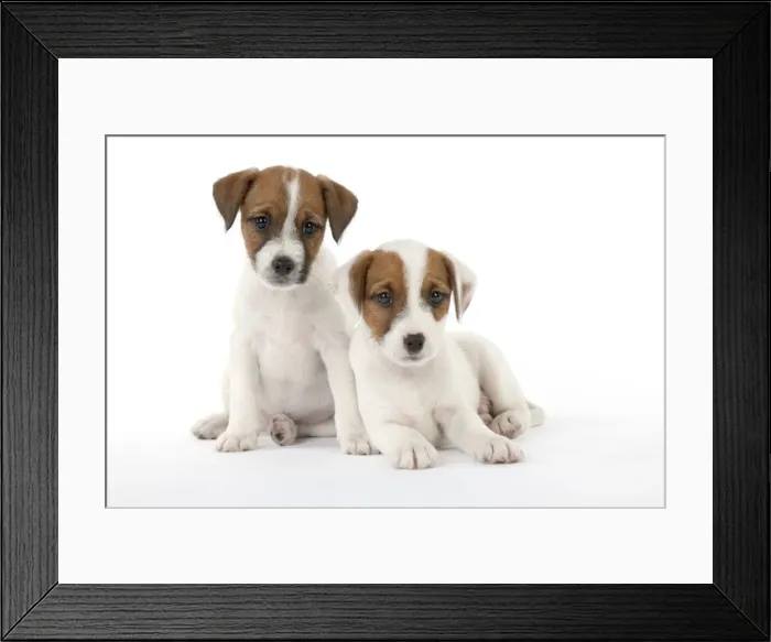Framed Print : Picture No. 10892565 Framed Print : Picture No. 10892565