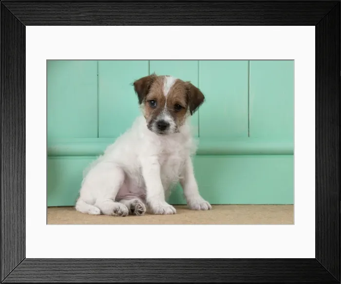 Framed Print : Picture No. 10892575 Framed Print : Picture No. 10892575
