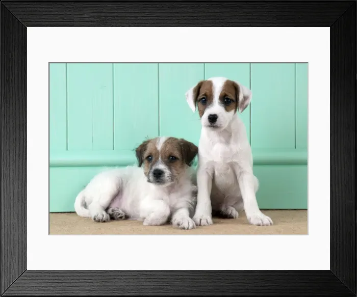Framed Print : Picture No. 10892572 Framed Print : Picture No. 10892572