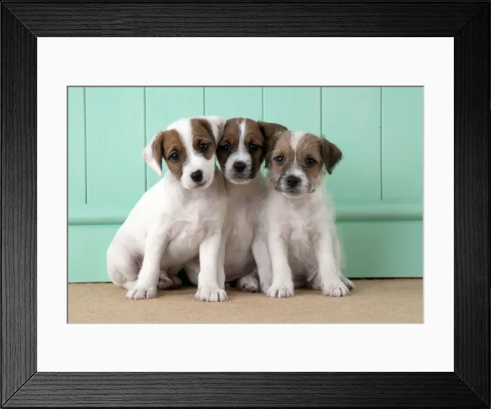 Framed Print : Picture No. 10892571 Framed Print : Picture No. 10892571