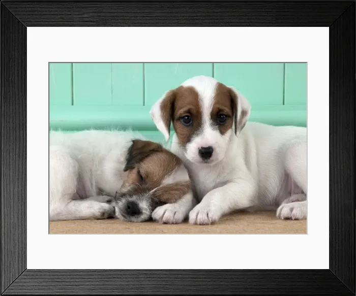 Framed Print : Picture No. 10892578 Framed Print : Picture No. 10892578