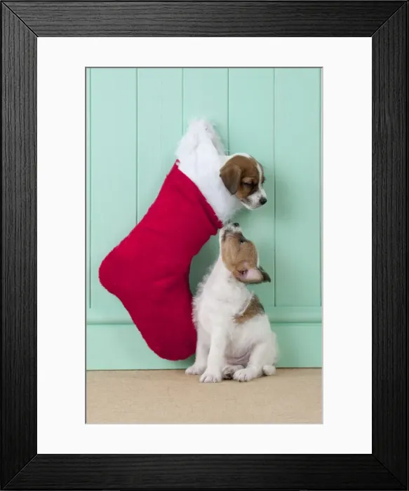 Framed Print : Picture No. 10892577 Framed Print : Picture No. 10892577
