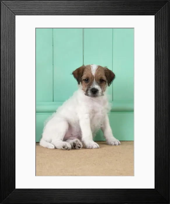 Framed Print : Picture No. 10892576 Framed Print : Picture No. 10892576