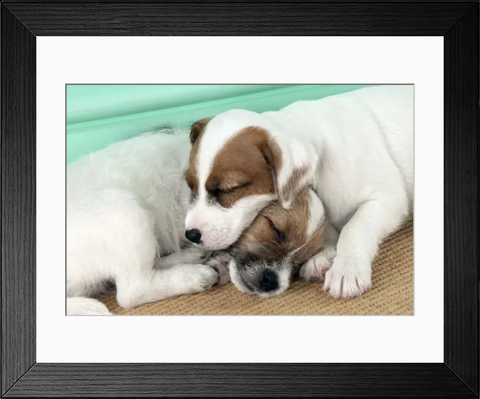 Framed Print : Picture No. 10892579 Framed Print : Picture No. 10892579