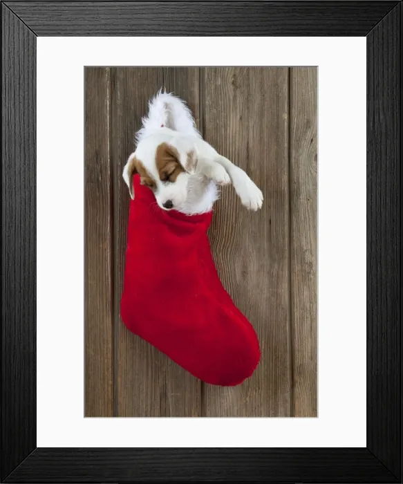 Framed Print : Picture No. 10892581 Framed Print : Picture No. 10892581