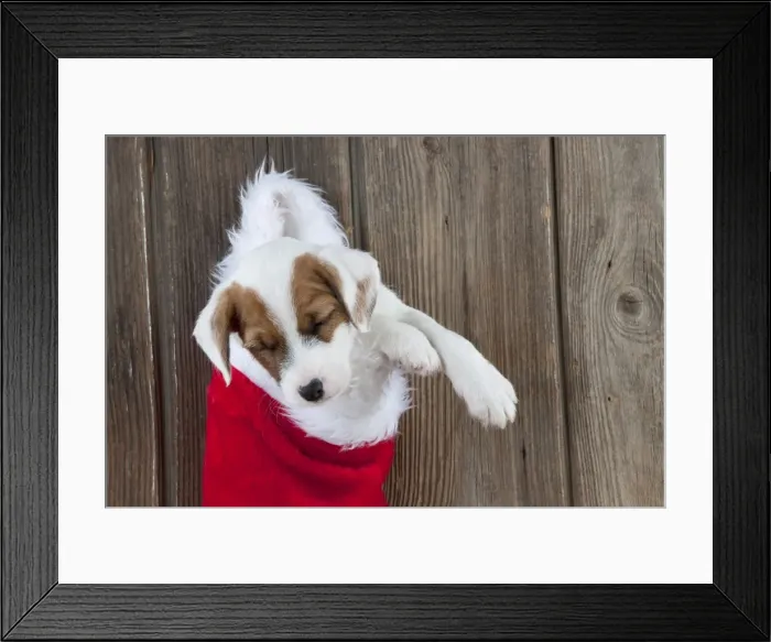 Framed Print : Picture No. 10892580 Framed Print : Picture No. 10892580