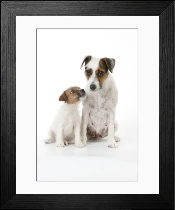 Framed Print : Picture No. 10892586 Framed Print : Picture No. 10892586