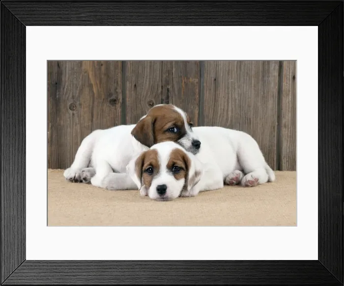 Framed Print : Picture No. 10892582 Framed Print : Picture No. 10892582