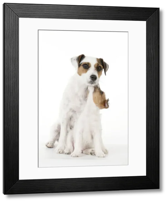 Framed Print : Picture No. 10892588 Framed Print : Picture No. 10892588