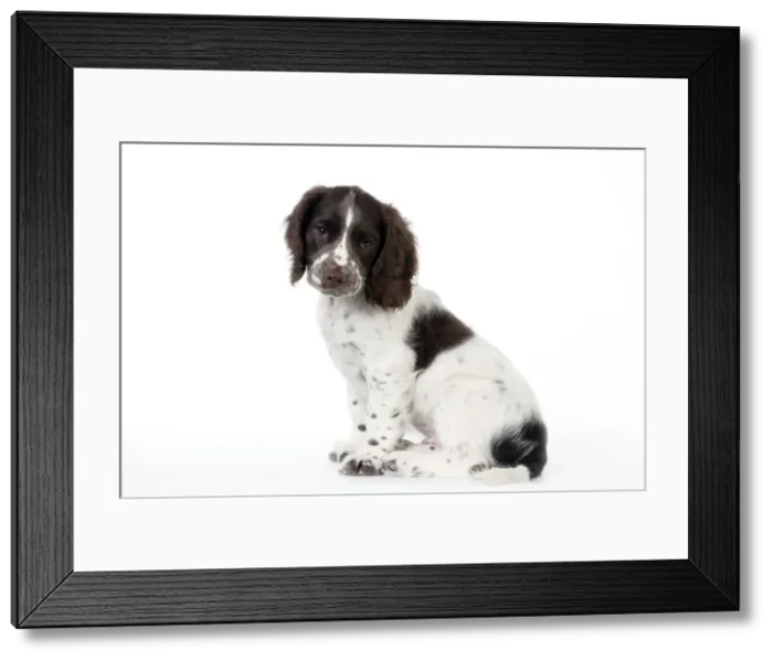 Framed Print : Picture No. 10892592 Framed Print : Picture No. 10892592