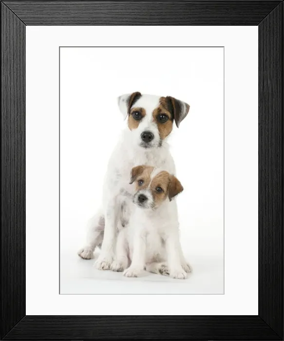 Framed Print : Picture No. 10892587 Framed Print : Picture No. 10892587