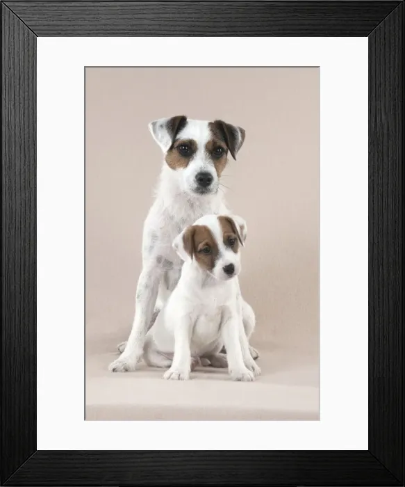 Framed Print : Picture No. 10892590 Framed Print : Picture No. 10892590