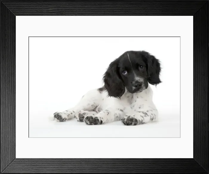 Framed Print : Picture No. 10892595 Framed Print : Picture No. 10892595
