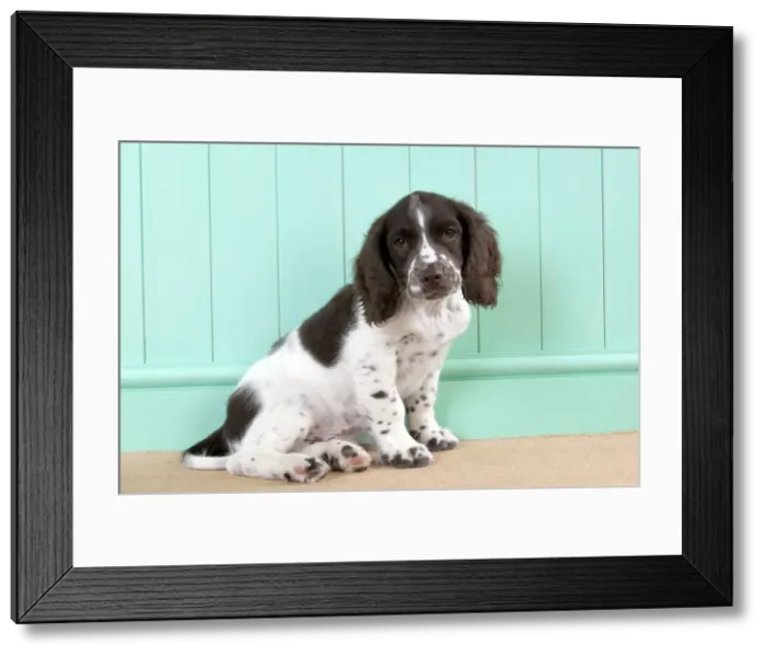 Framed Print : Picture No. 10892599