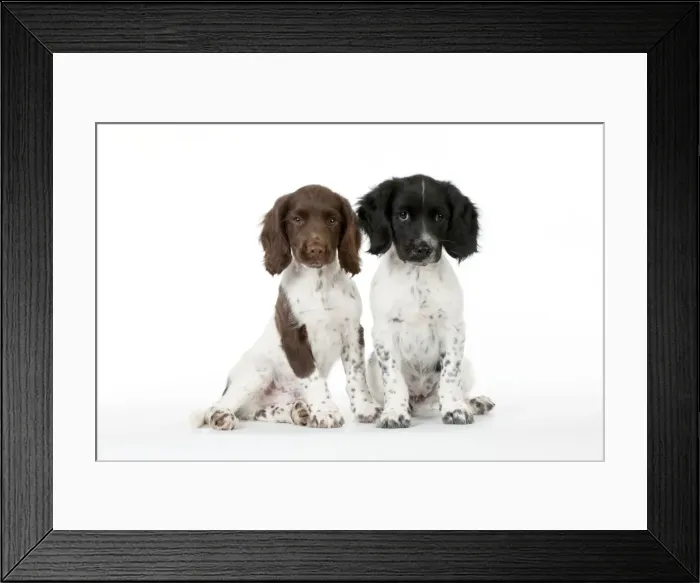 Framed Print : Picture No. 10892593 Framed Print : Picture No. 10892593