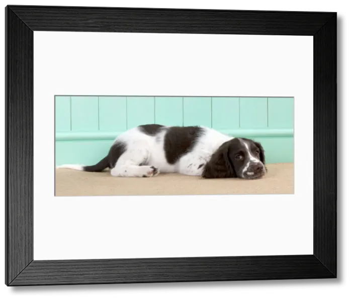 Framed Print : Picture No. 10892600 Framed Print : Picture No. 10892600