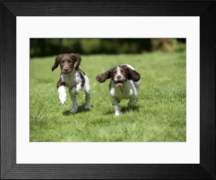 Framed Print : Picture No. 10892607 Framed Print : Picture No. 10892607
