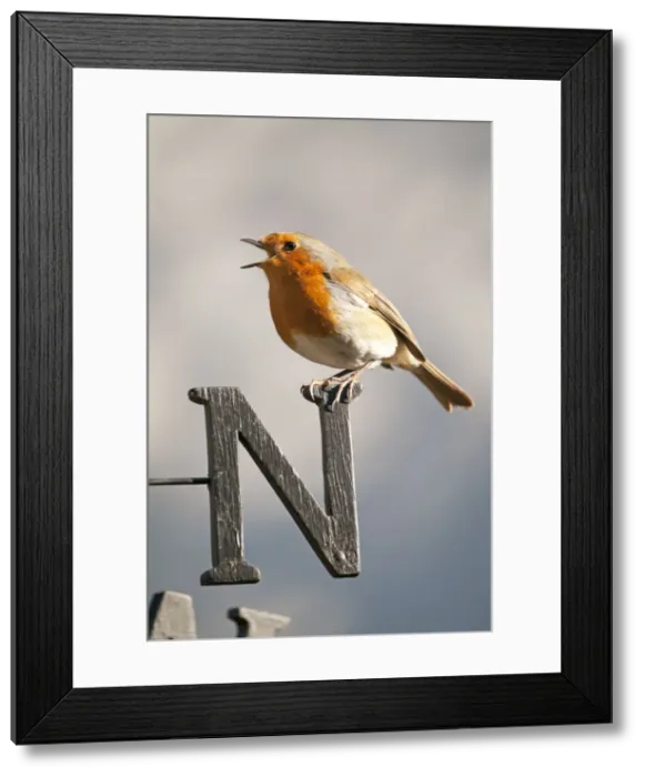 Framed Print : Picture No. 10892613 Framed Print : Picture No. 10892613