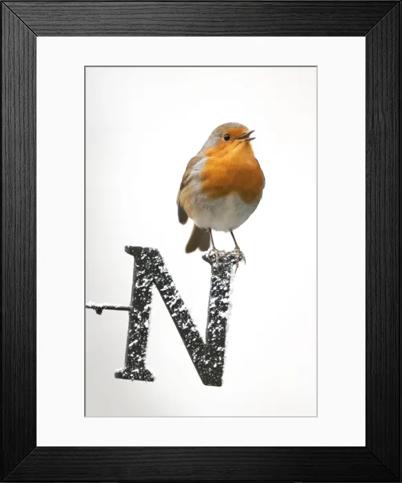 Framed Print : Picture No. 10892615 Framed Print : Picture No. 10892615