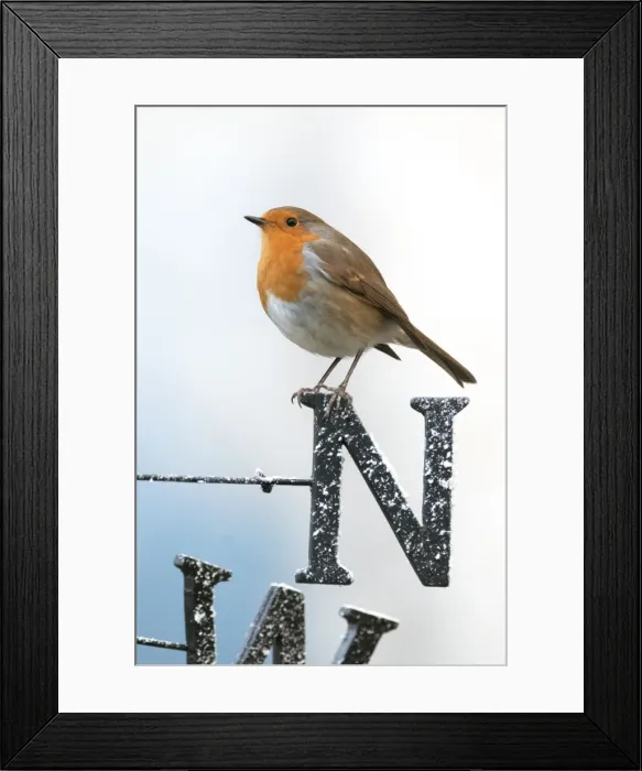 Framed Print : Picture No. 10892614 Framed Print : Picture No. 10892614