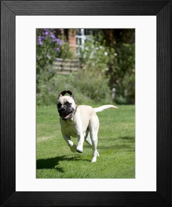 Framed Print : Picture No. 10892628 Framed Print : Picture No. 10892628