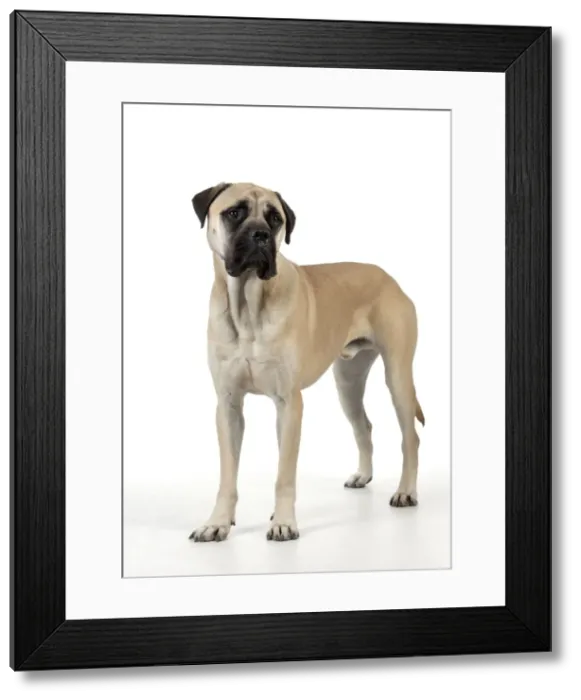 Framed Print : Picture No. 10892626 Framed Print : Picture No. 10892626