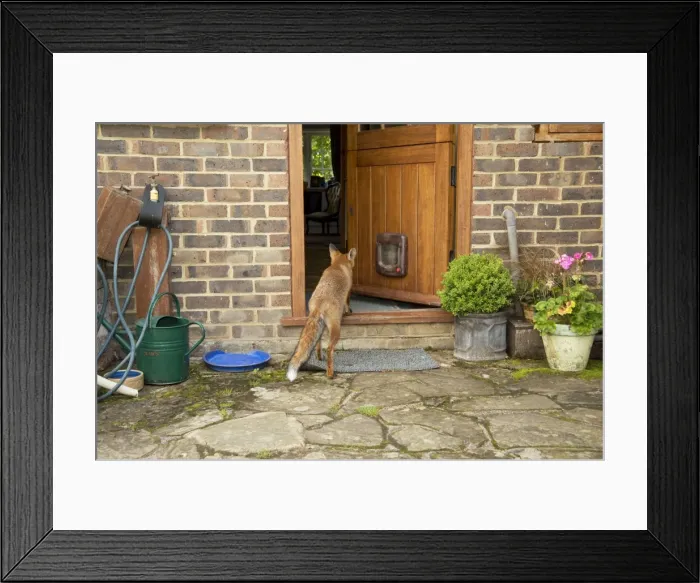 Framed Print : Picture No. 10892670 Framed Print : Picture No. 10892670