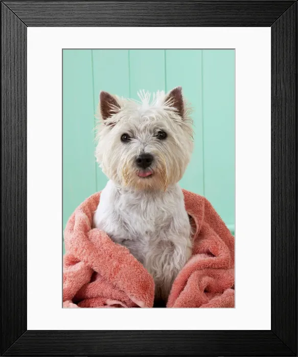 Framed Print : Picture No. 10892679 Framed Print : Picture No. 10892679