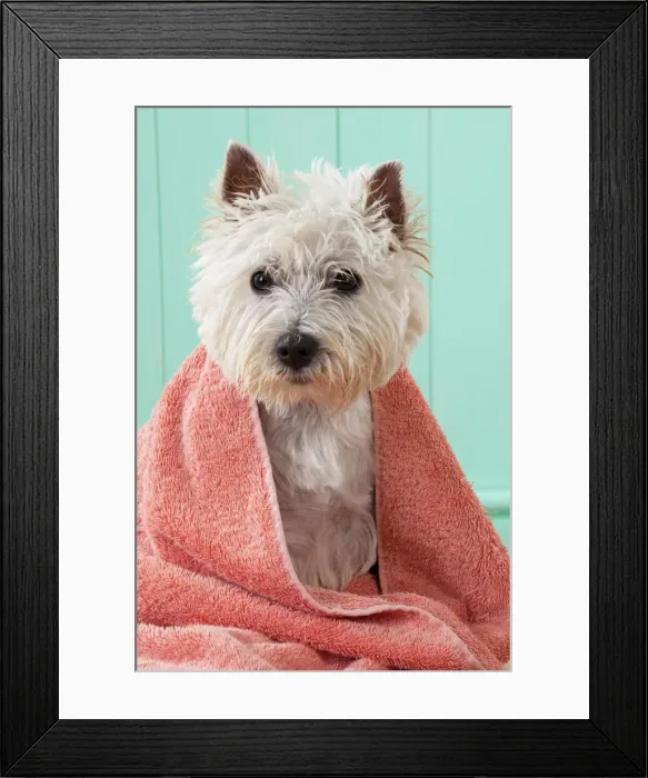 Framed Print : Picture No. 10892677 Framed Print : Picture No. 10892677