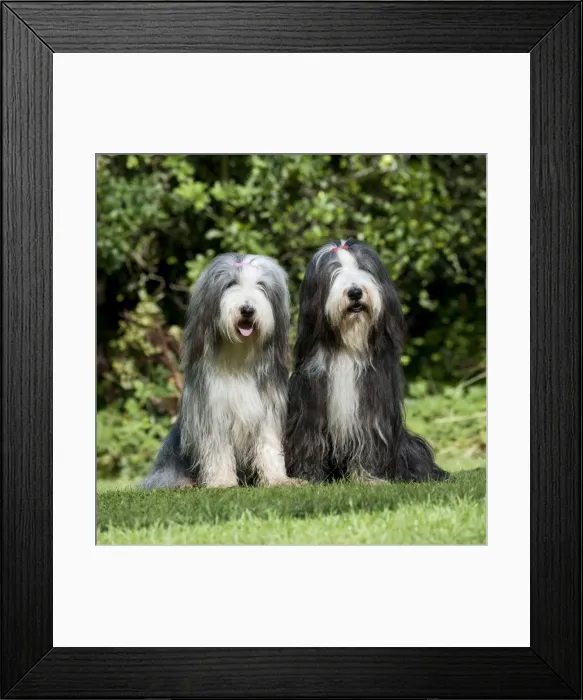 Framed Print : Picture No. 10892692 Framed Print : Picture No. 10892692
