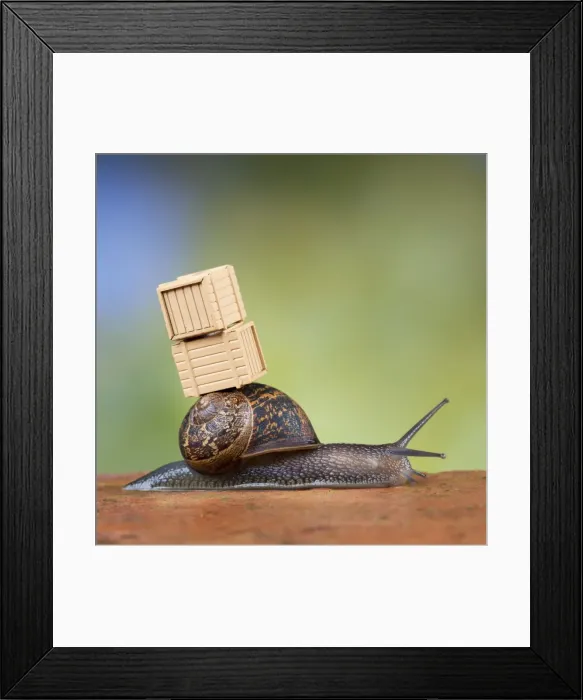 Framed Print : Picture No. 10892690 Framed Print : Picture No. 10892690