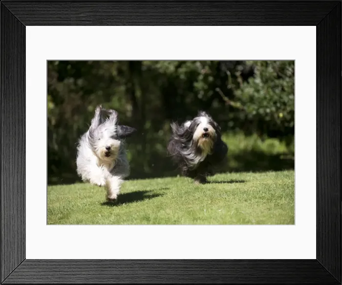 Framed Print : Picture No. 10892697