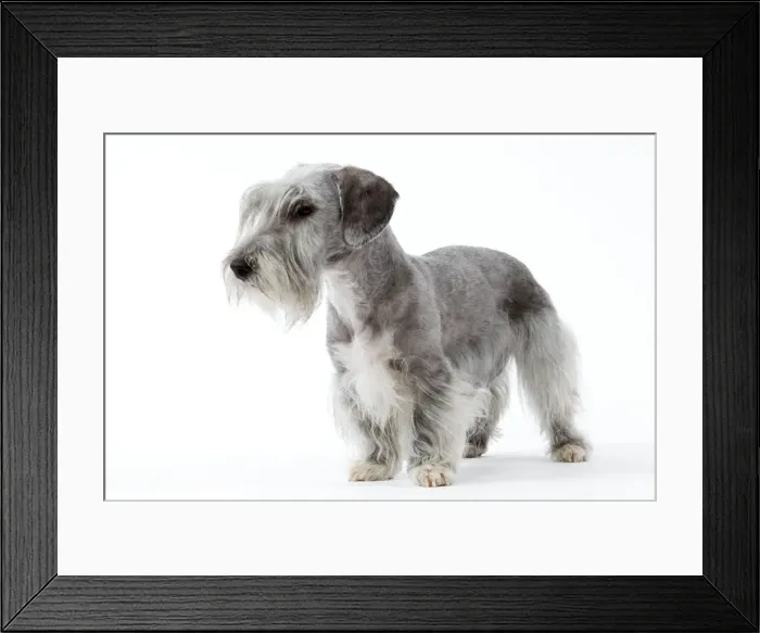 Framed Print : Picture No. 10892719 Framed Print : Picture No. 10892719