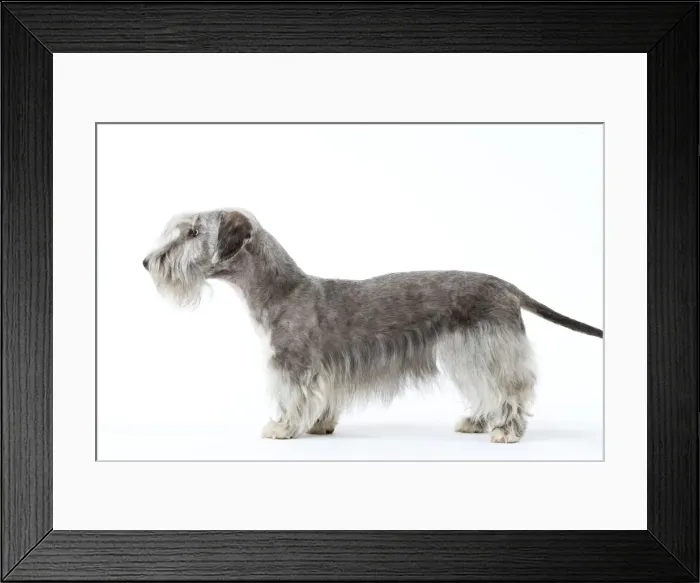 Framed Print : Picture No. 10892717 Framed Print : Picture No. 10892717