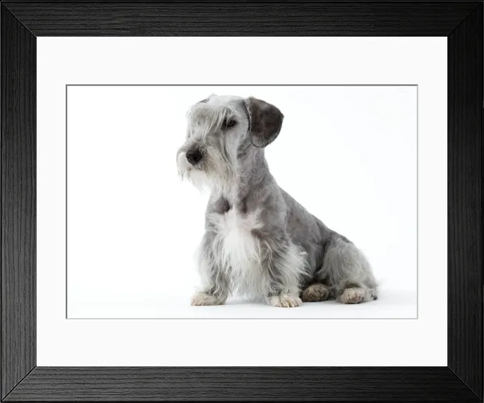 Framed Print : Picture No. 10892720 Framed Print : Picture No. 10892720